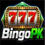 BINGO PK Game