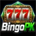 BINGO PK Game