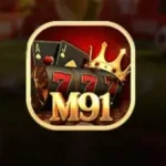 M91 Game